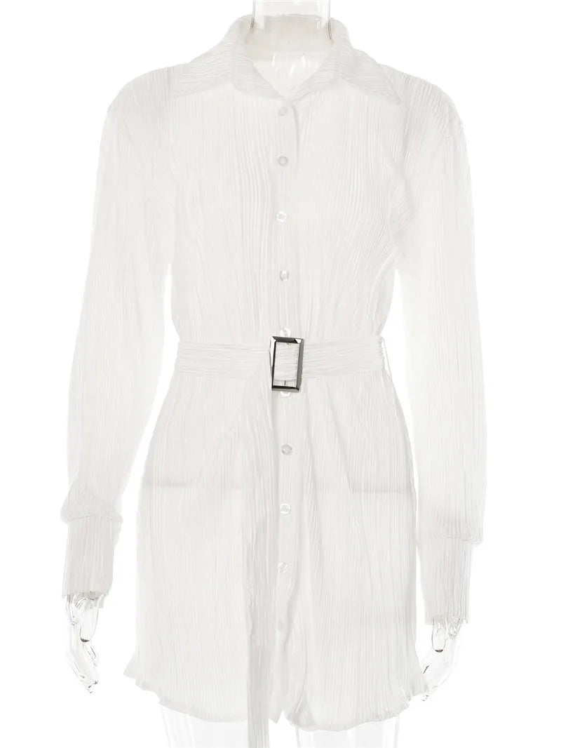 Loose Long Sleeve Pleated Blouse Mini Dresses