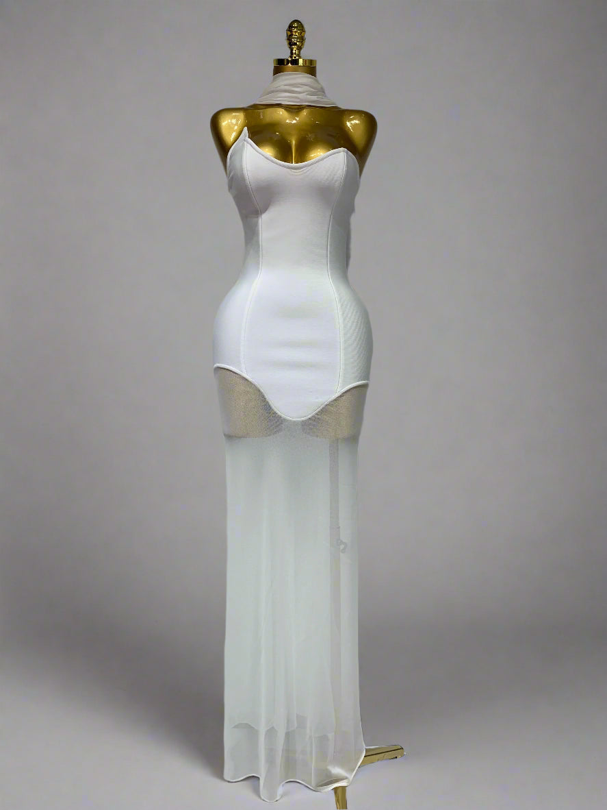 Strapless Backless Long Mesh Dresses