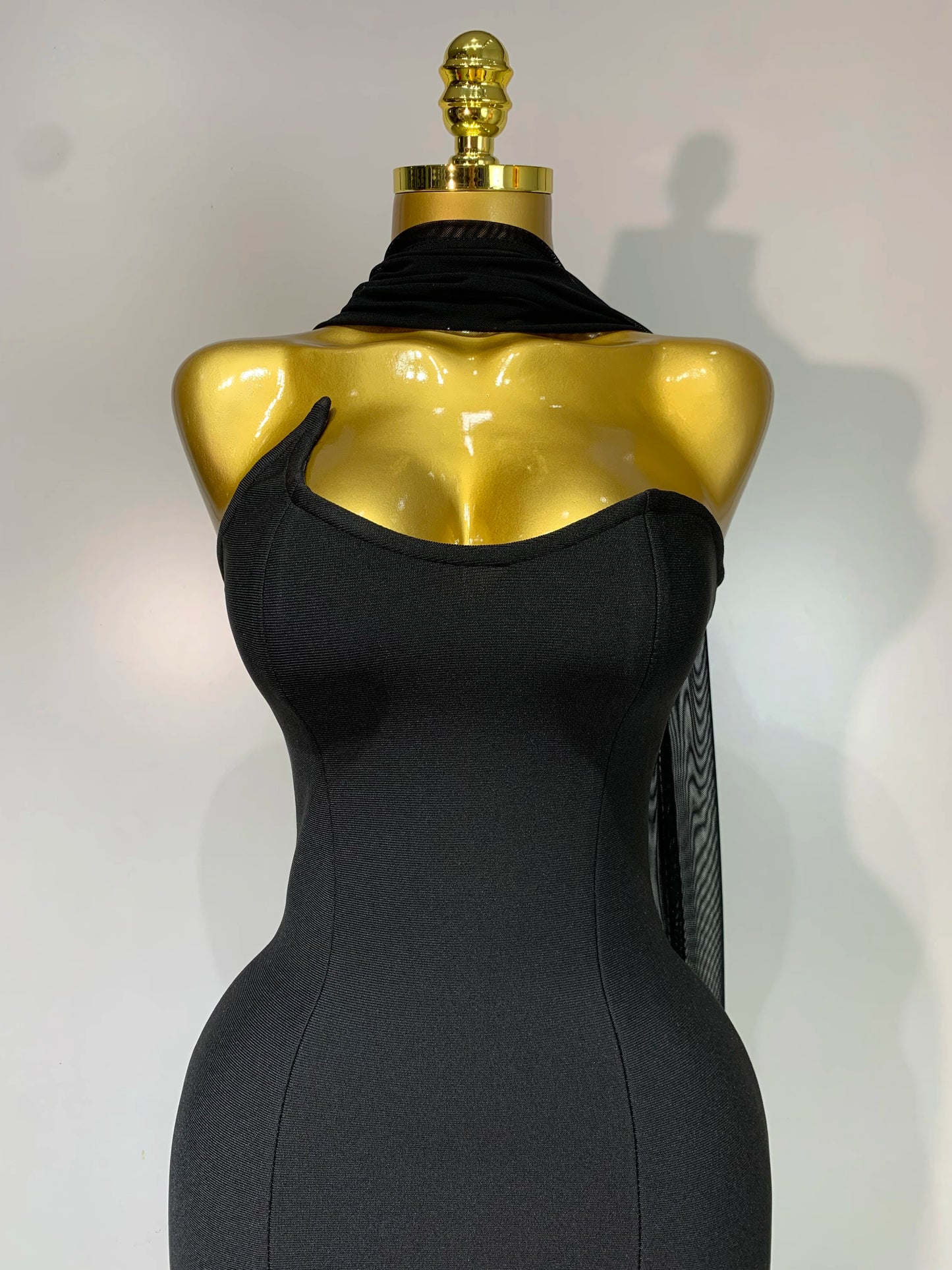 Strapless Backless Long Mesh Dresses