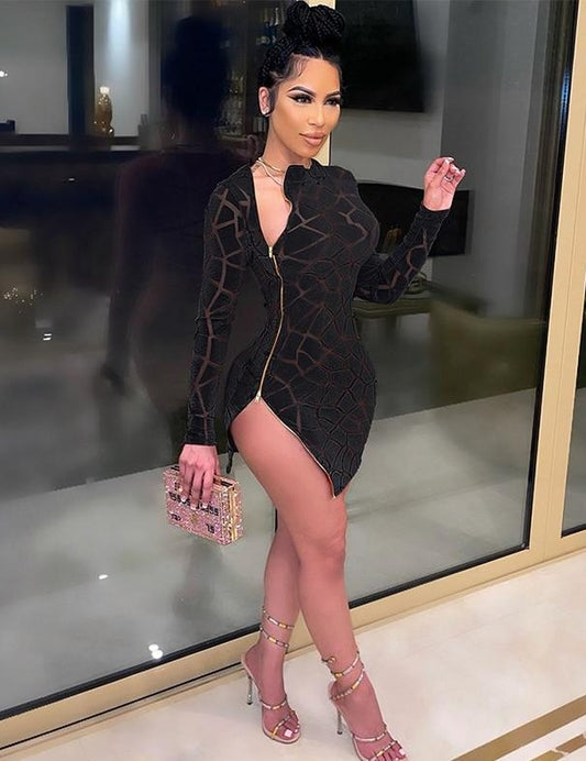 Velvet Mesh Long Sleeve Side Slit Zipped Dresses