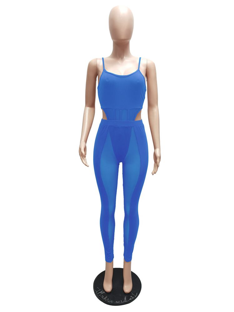 Collection Of Mesh Bodysuit & Pants Sets