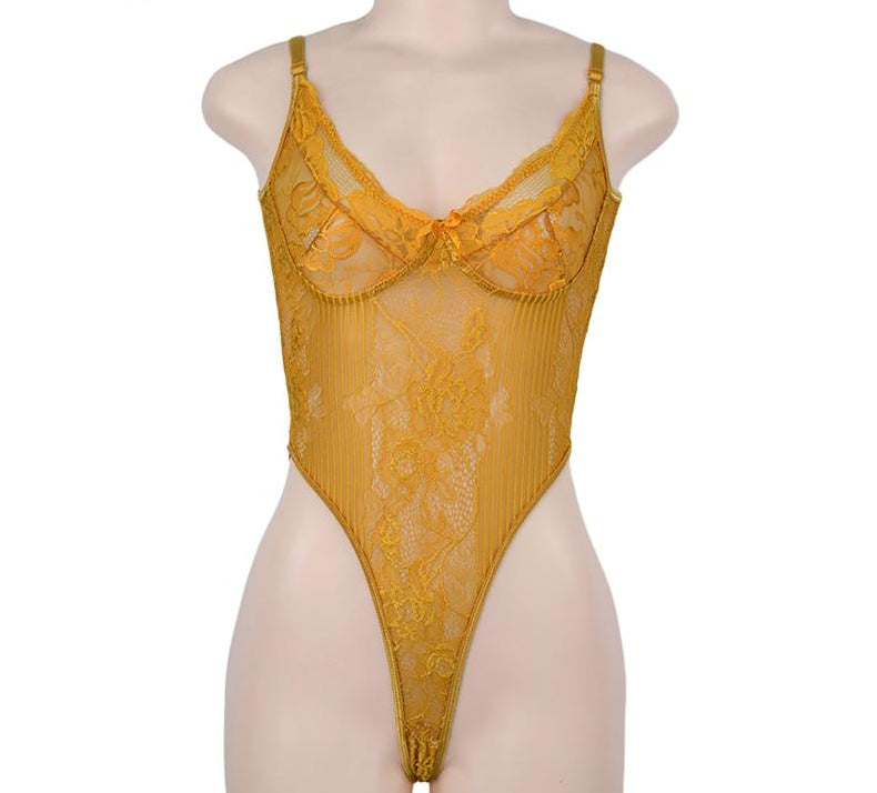 Collection of Sheer Lace Transparent Mesh Bodysuits