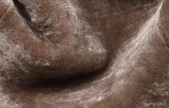 Genuine Leather Shearling Lining Short Coats