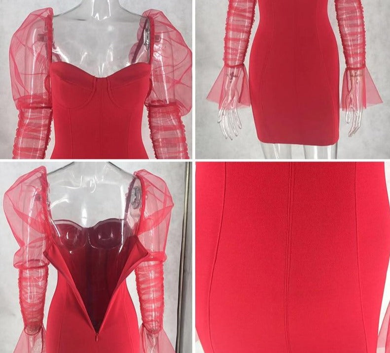 Mesh Puff Flare Sleeve Mini Dresses