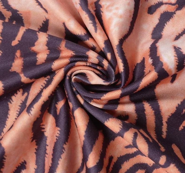 Tiger Print V-Neck Long Sleeve Crop Tops+Maxi Dress Set