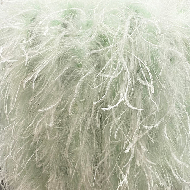 Ostrich Feather Crop Top & Skirts