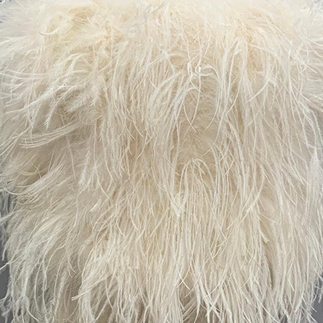 Ostrich Feather Crop Top & Skirts