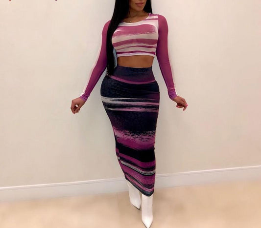 Mesh Bodycon Long Sleeve Crop Top and Long Skirt Set