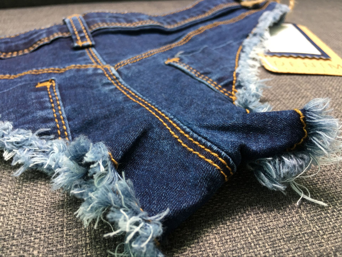 Low Waist Denim Bikini Shorts