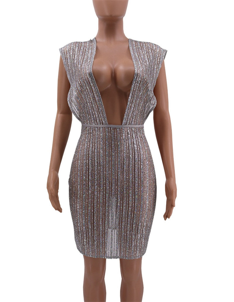 Sheer Silver Stripe Glitter Mesh Bodycon Dresses