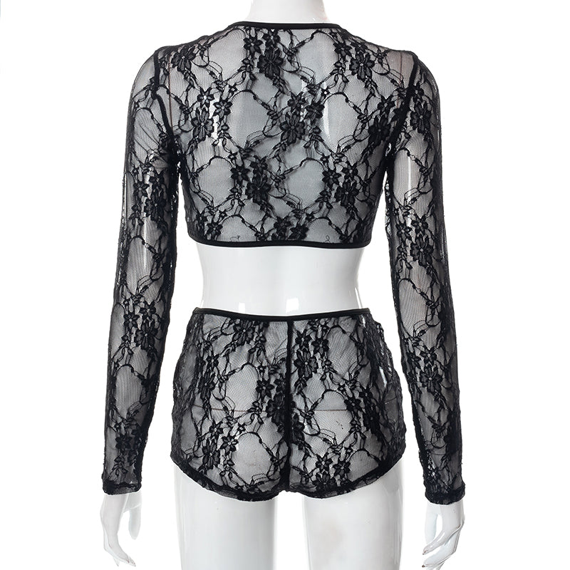 Mesh Lace Sleeved Crop Top & Shorts Set