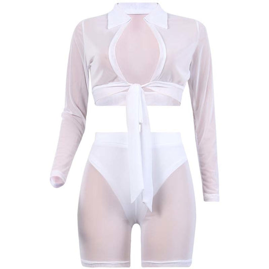 Mesh Long Sleeve Crop Top And Tight Shorts Sets