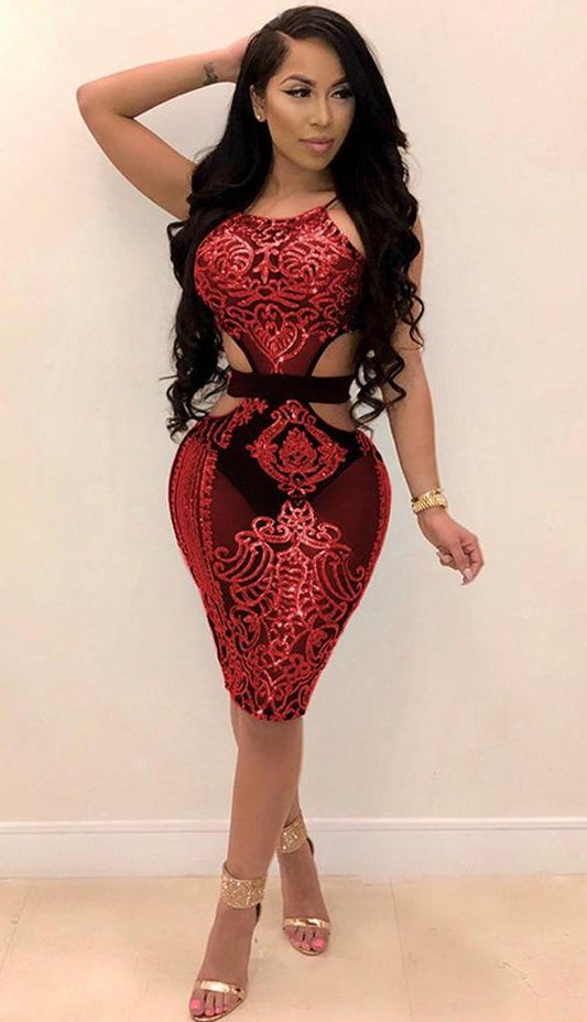 See Through Mesh Sequin Halter Backless Bodycon Dresses (Multi-Colors)