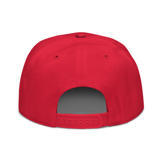 Elevate Swag Snapback Hats