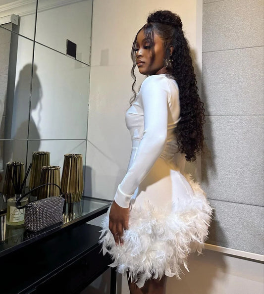 Deep V Long Sleeve Feather Mini Dresses