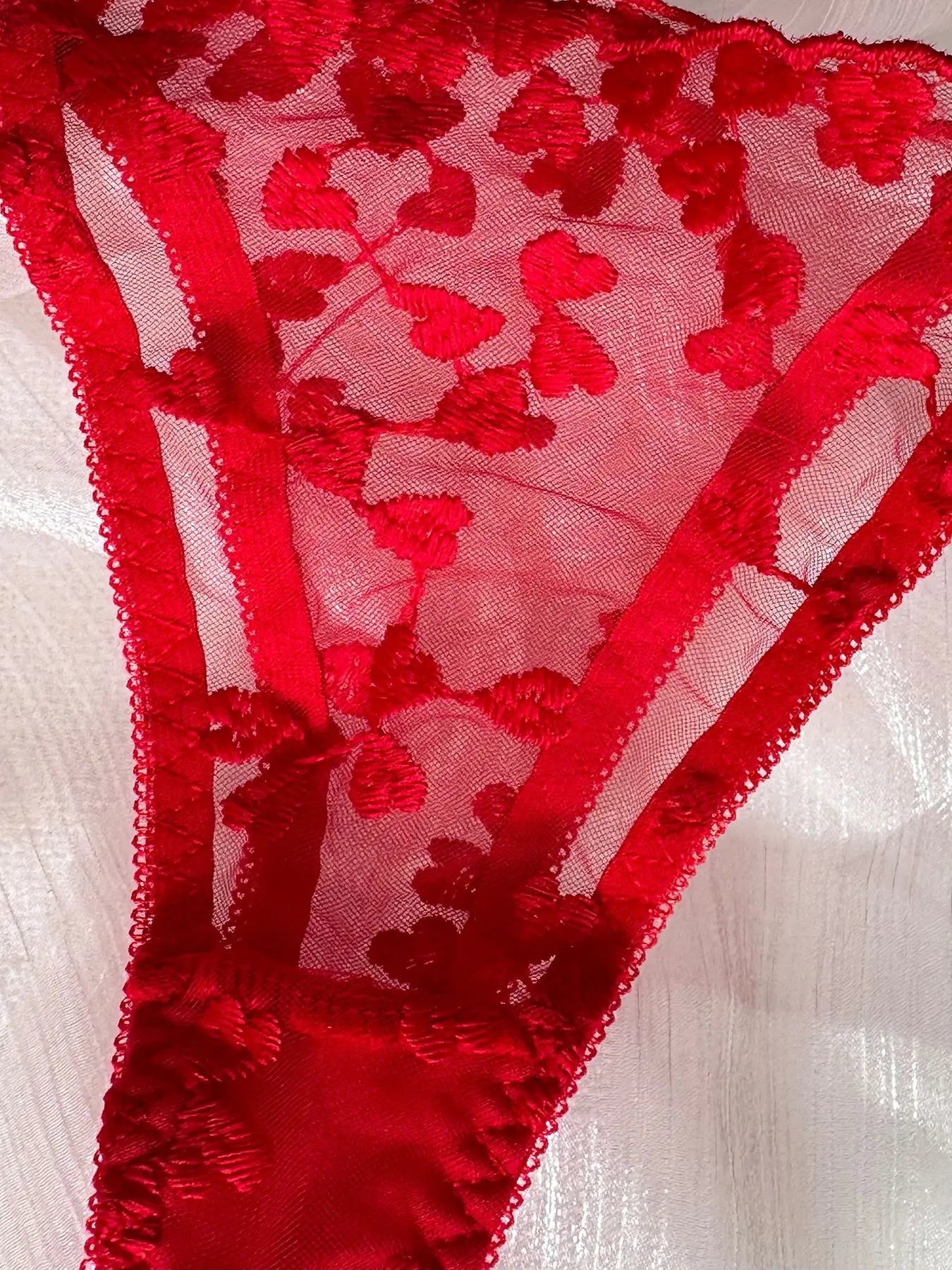 Mesh Heart Shaped Embroidery Bra & Thong Sets