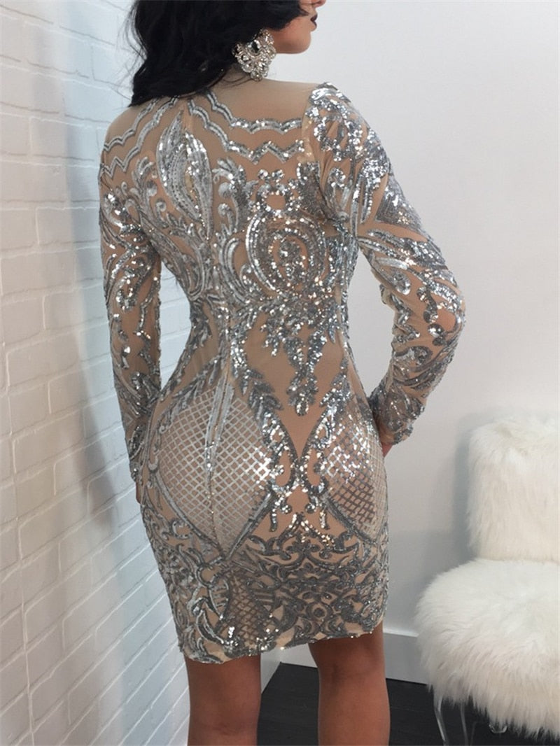 Sliver Sequins Nude Long Sleeve Bodycon Mini Dress
