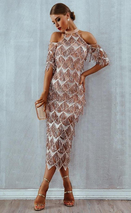 Fringe Sequins Mesh Long Dresses