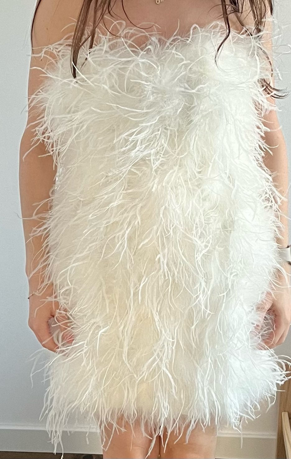 Ostrich Feather Tube Mini Dresses