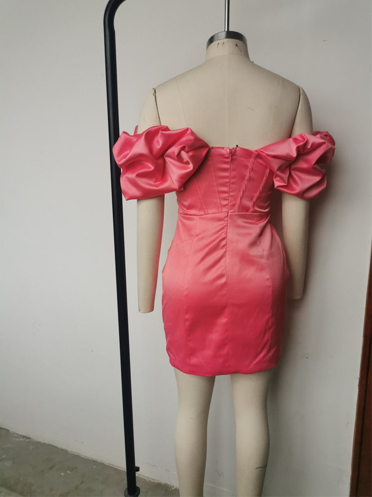 Satin Corset Ruffle Sleeve Mini Dress