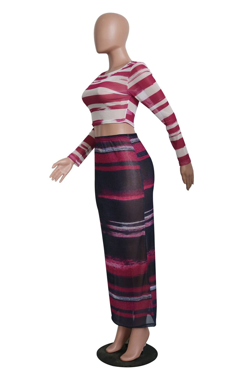 Mesh Bodycon Long Sleeve Crop Top and Long Skirt Set