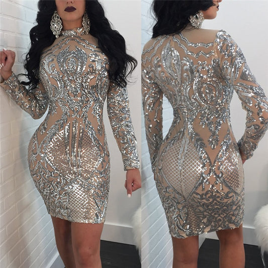 Sliver Sequins Nude Long Sleeve Bodycon Mini Dress