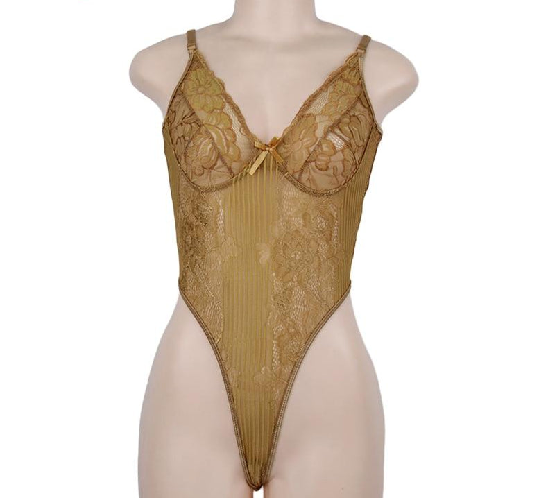 Collection of Sheer Lace Transparent Mesh Bodysuits