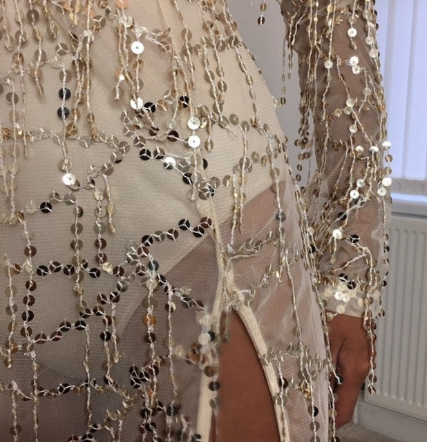 Mesh Sequin 3D Tassel Deep V Gold Maxi Dress