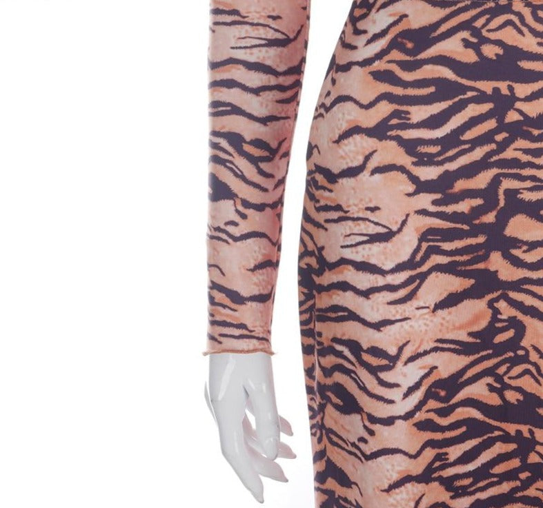Tiger Print V-Neck Long Sleeve Crop Tops+Maxi Dress Set