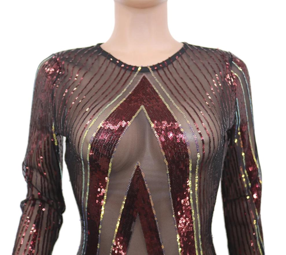 Mesh Sequin Design Long Sleeve O Neck Bodycon Midi Dress