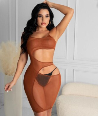 Mesh Hollow Side Bodycon Mini Dresses