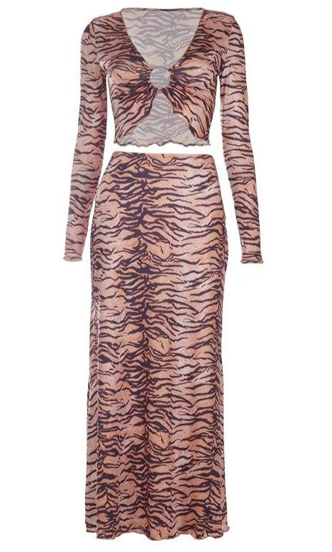 Tiger Print V-Neck Long Sleeve Crop Tops+Maxi Dress Set