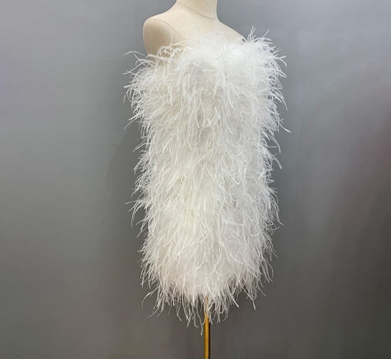 Ostrich Feather Tube Mini Dresses