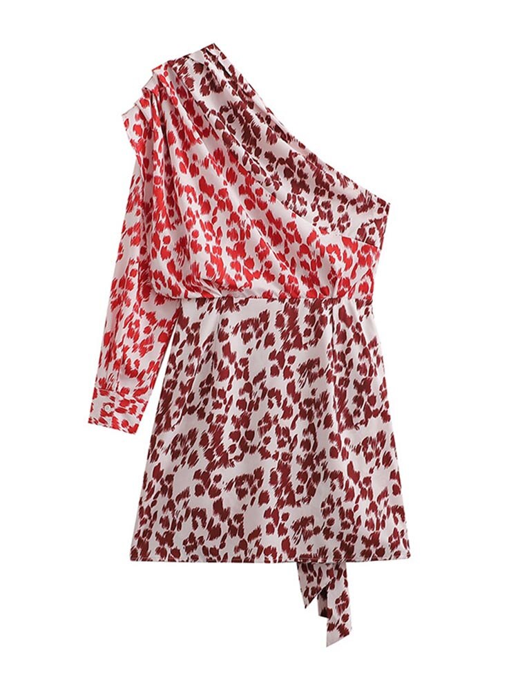 Leopard Print One Shoulder Sleeve Mini Dress