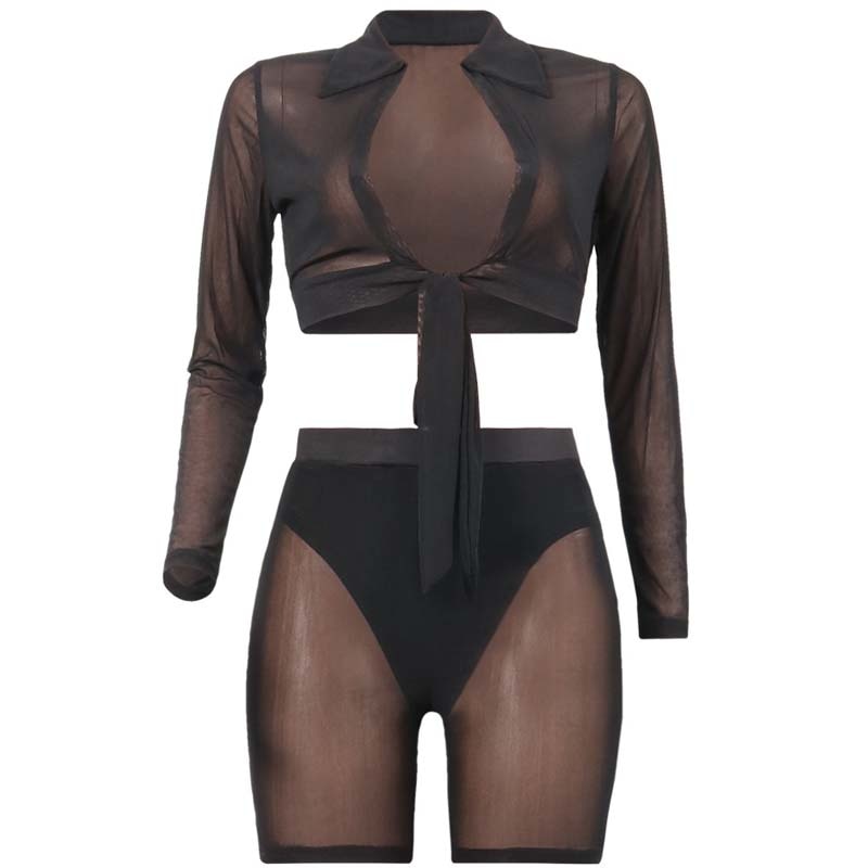 Mesh Long Sleeve Crop Top And Tight Shorts Sets